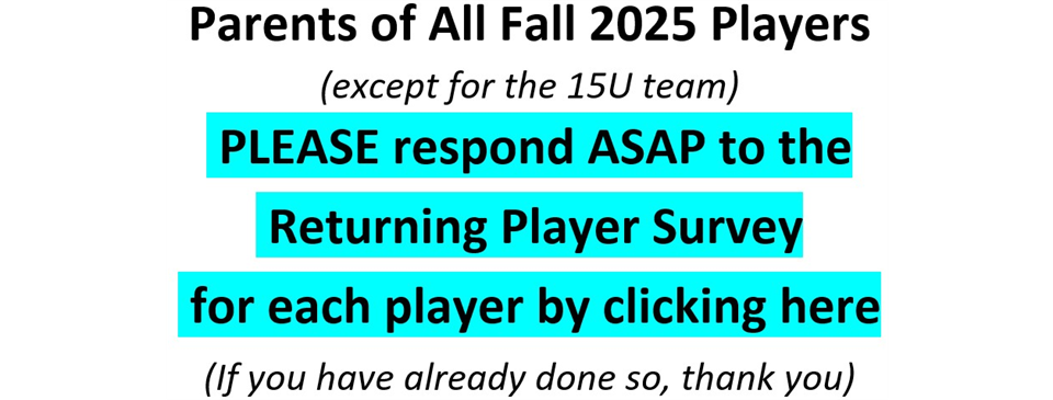 Returning Player Survey